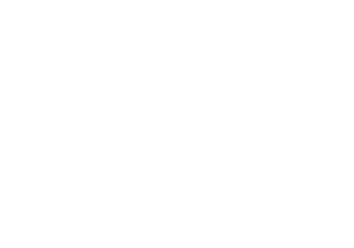 CINC Logo